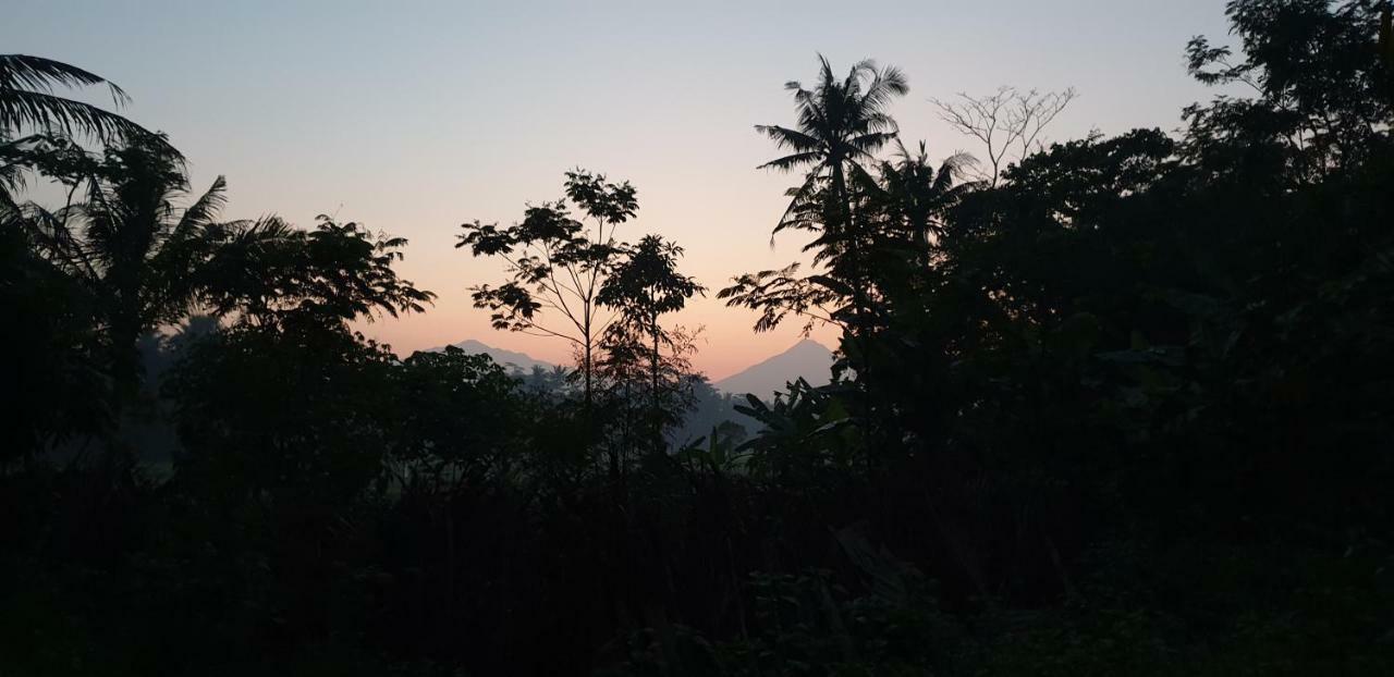 Anugrah Borobudur Magelang Exterior foto